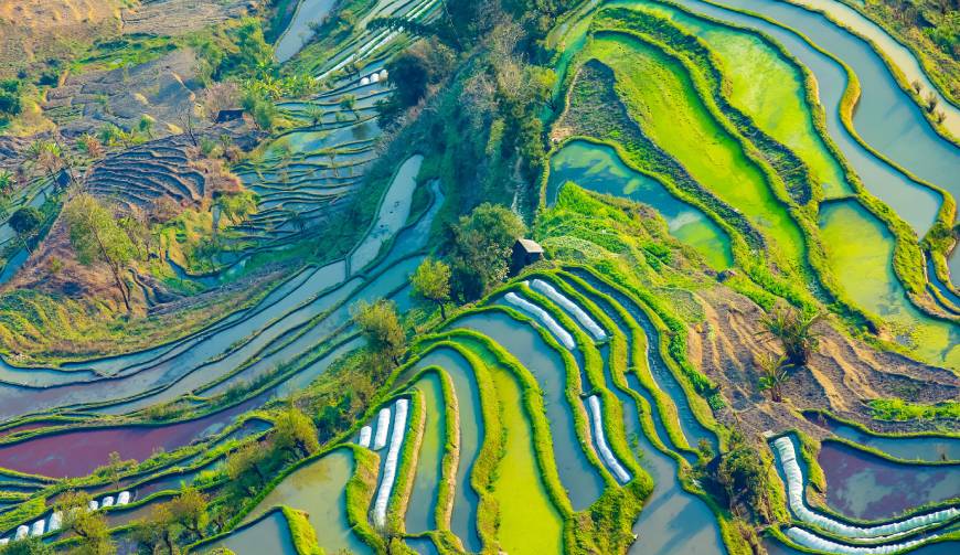宝妈必备神器：龙文区产品视频拍摄轻松育儿好帮手